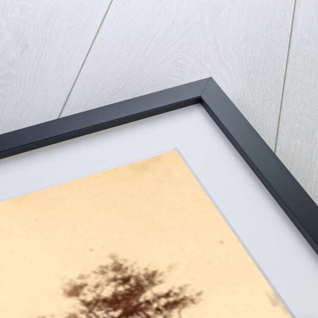 View on the top of Lookout Mountain, Tenn., USA by Anonymous