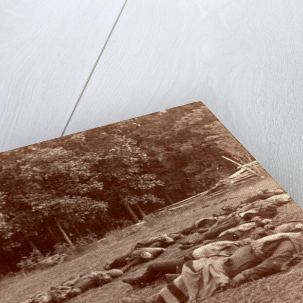 Union (i.e. Confederate) dead at Gettysburg, USA by Anonymous