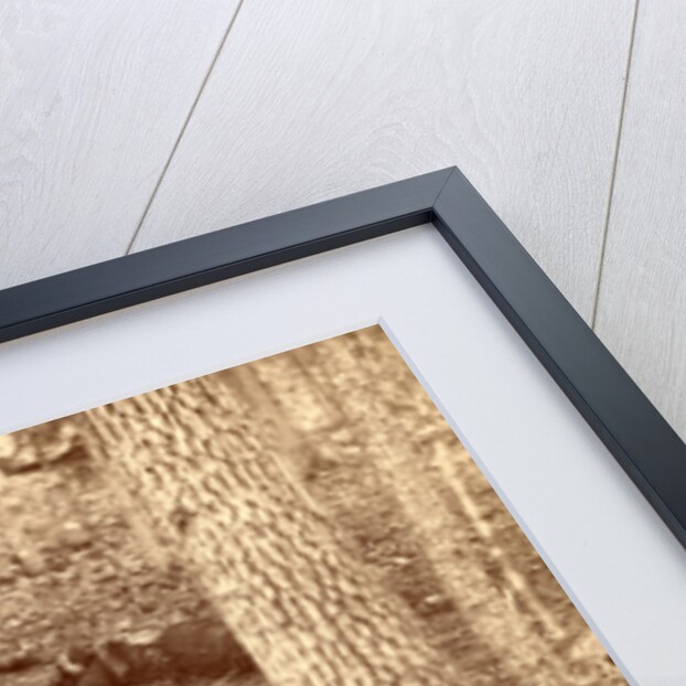 The slaughter pen at Gettysburg, USA by Anonymous