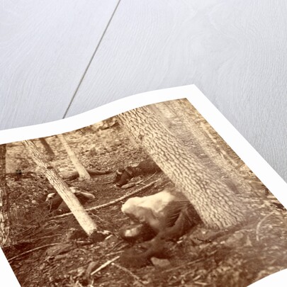 The slaughter pen at Gettysburg, USA by Anonymous