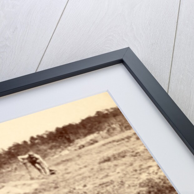 Collecting remains of the dead, USA by Anonymous