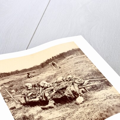 Collecting remains of the dead, USA by Anonymous