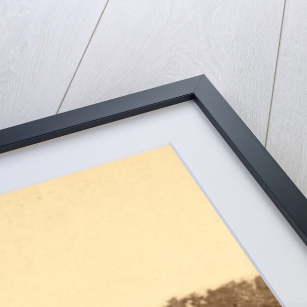 Confederate dead at Fort Robinette, Corinth, USA by Anonymous