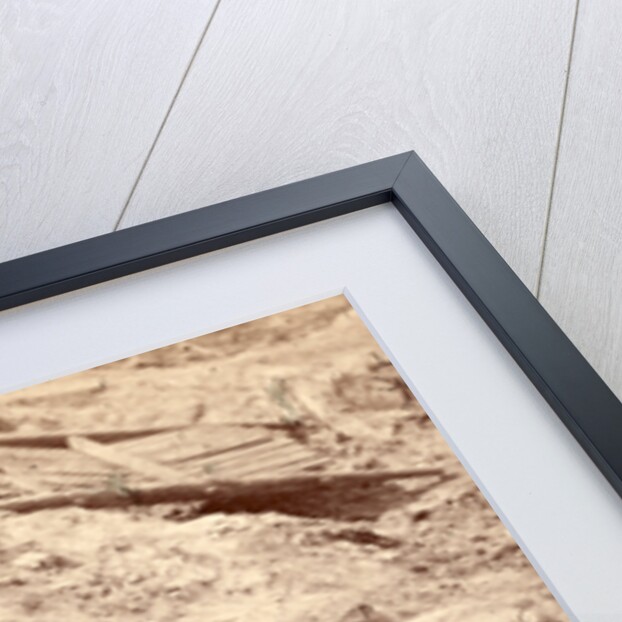 Dead Confederate soldier in the trenches, USA by Anonymous