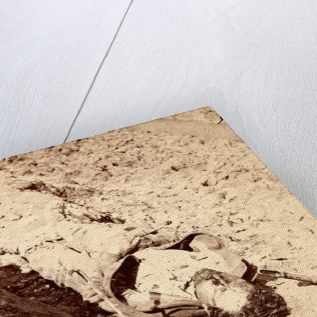 Dead Confederate soldier in the trenches, USA by Anonymous