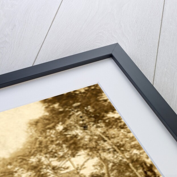 Burial of the Union dead at Fredericksburg, December 15, 1862 by Anonymous