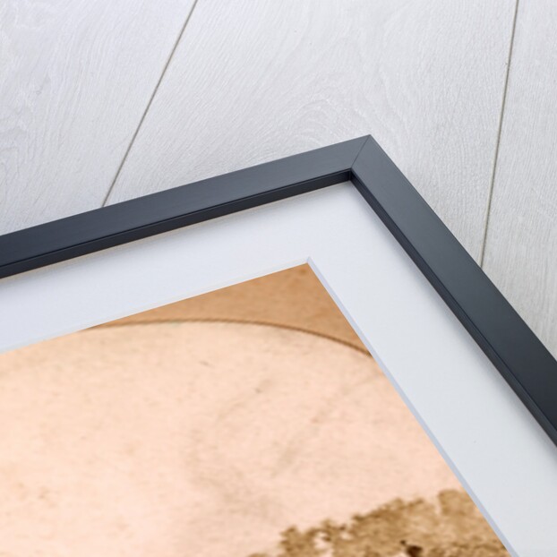 Confederate dead at Fort Robinette, Corinth, USA by Anonymous