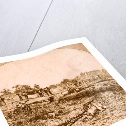 Confederate dead at Fort Robinette, Corinth, USA by Anonymous