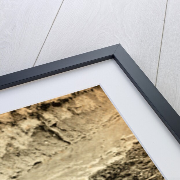 Dead Confederate soldier in the trenches of Fort Mahone, Petersburg, Virginia, USA by Anonymous