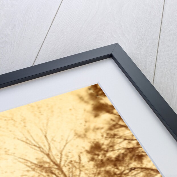 Lt. Gen. Grant's Head Quarters, City Point, Va. May 29, 1865, USA by Anonymous