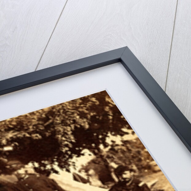 Contraband foreground, USA by Anonymous