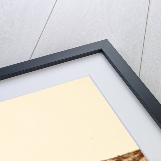 Wagon train crossing the Rappahannock River, USA by Anonymous