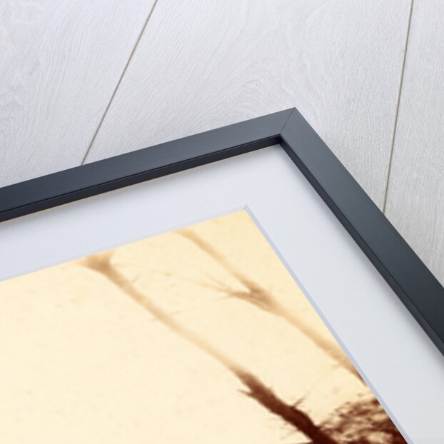 First wagon train entering Petersburg, USA by Anonymous