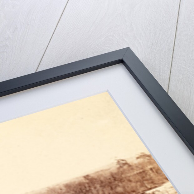 Pontoon across the Appomattox River, VA, Broadway Landing, USA by Anonymous