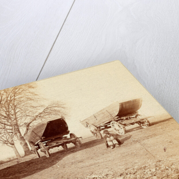 A pontoon boat on wheels, USA by Anonymous