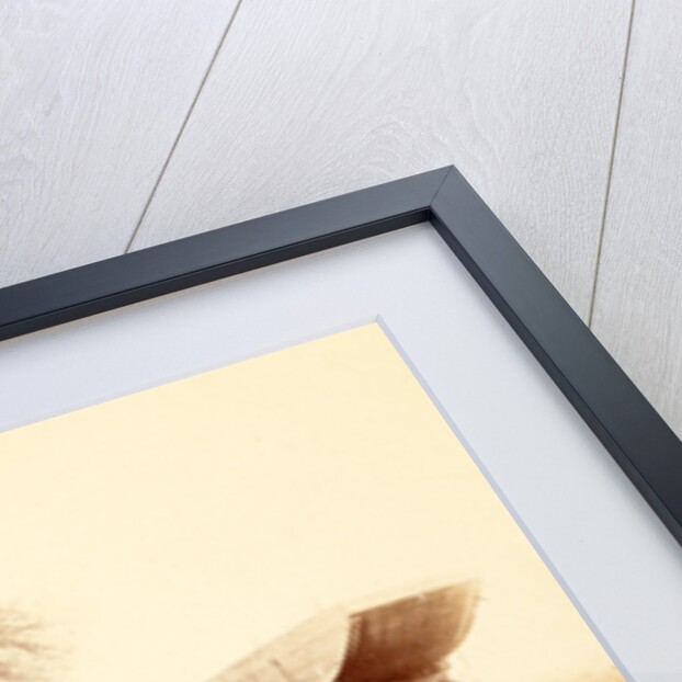 A pontoon boat on wheels, USA by Anonymous