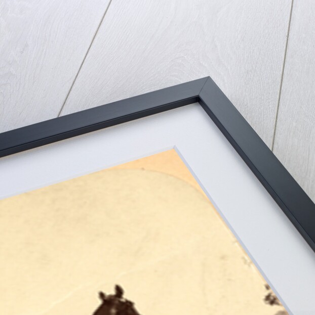 General Grant & his war horse, USA by Anonymous