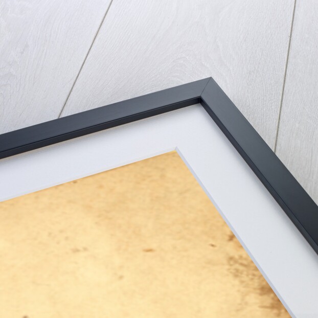 Grand Review, Washington, D.C., USA by Anonymous