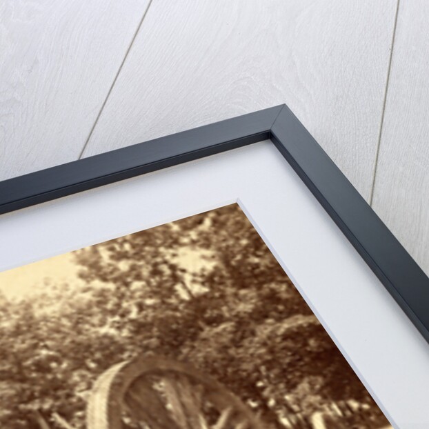 Same gun and sling cart as shown in no. 1051, showing how the gun is slung under the cart, USA by Anonymous