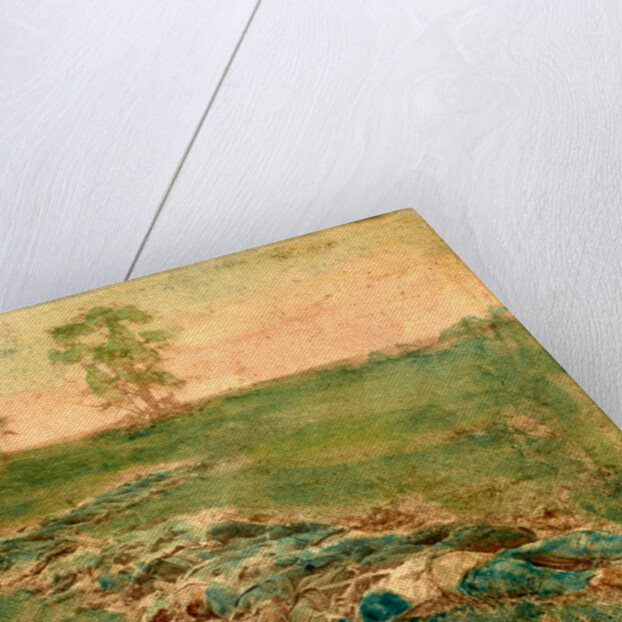 Laid out for burial at Antietam, USA by Anonymous