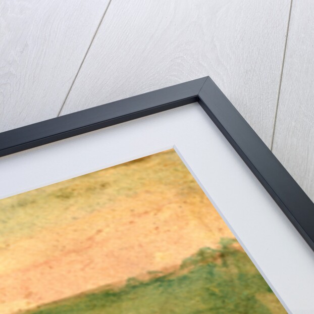 Laid out for burial at Antietam, USA by Anonymous