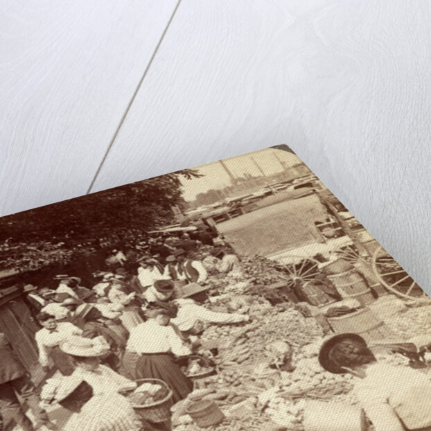 Fruits of the sunny south and their buyers, in famous old Centre Market by Anonymous