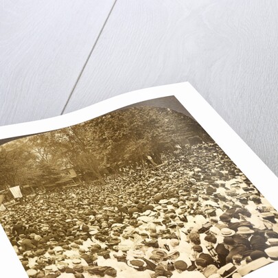 The surging throng listening to address of President Roosevelt on River Commons, Wilkes-Barre, Pa., Aug. 10, 1905., USA by Anonymous
