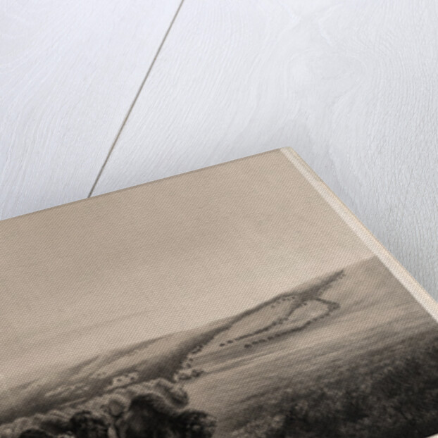 The herd on the move by W.J. Hays