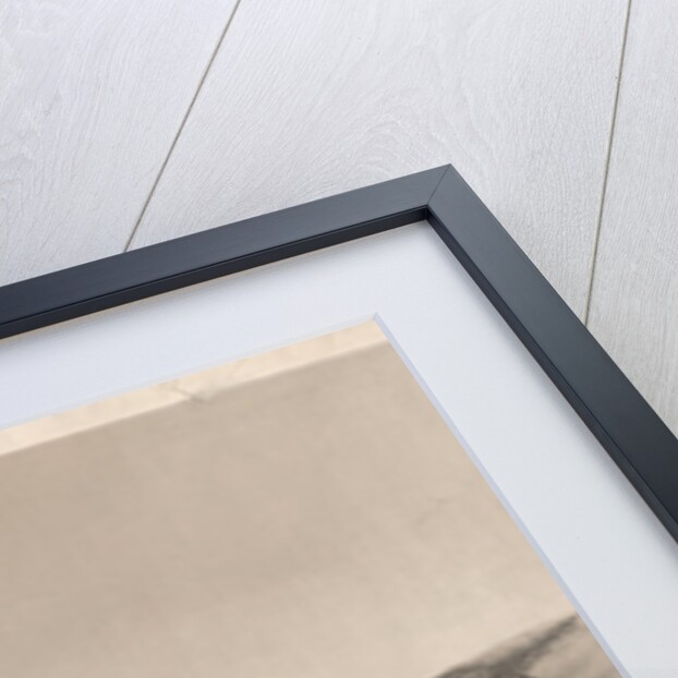 The herd on the move by W.J. Hays