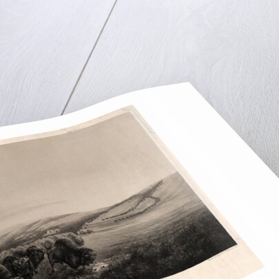 The herd on the move by W.J. Hays