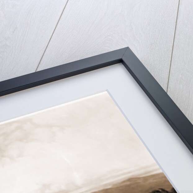 Herd of Bisons on the upper Missouri by Anonymous