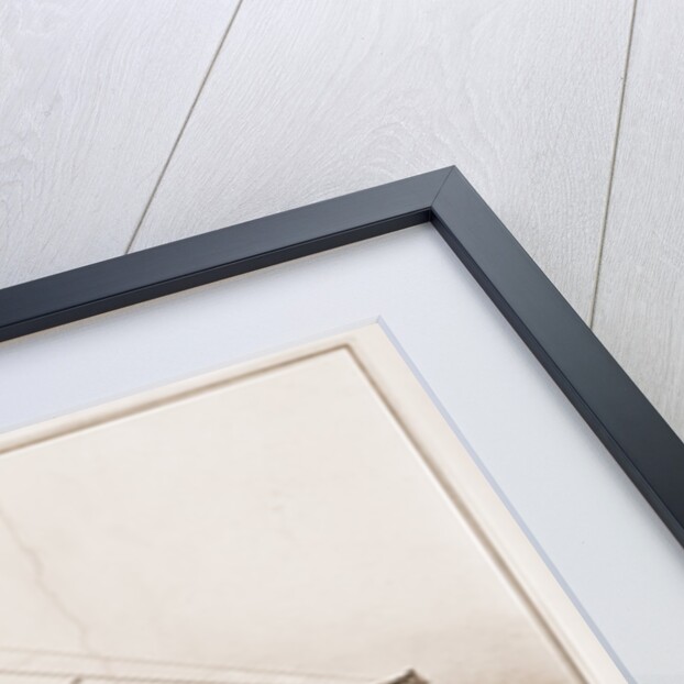 Loss of the U.S.M. steam ship Arctic: off Cape Race Wednesday September 27th 1854 by Anonymous