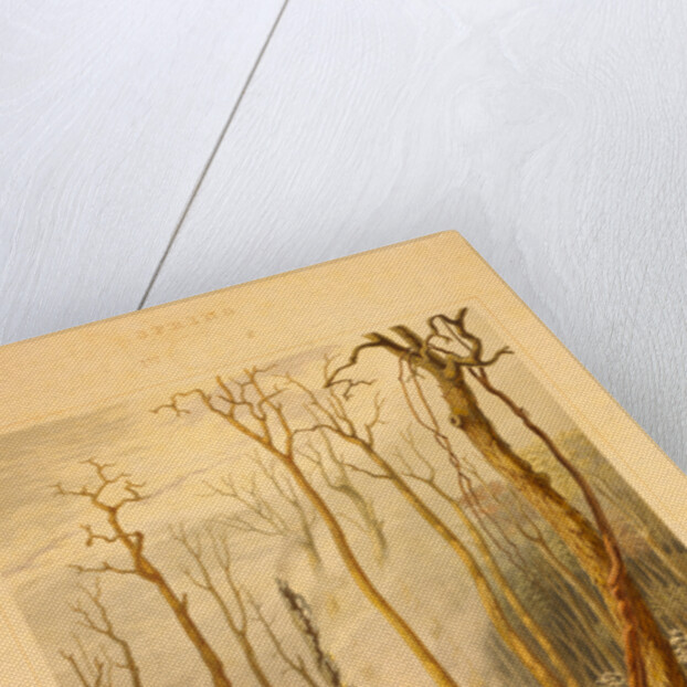 Spring--Burning fallen trees in a girdled clearing--Western scene by G. Harvey