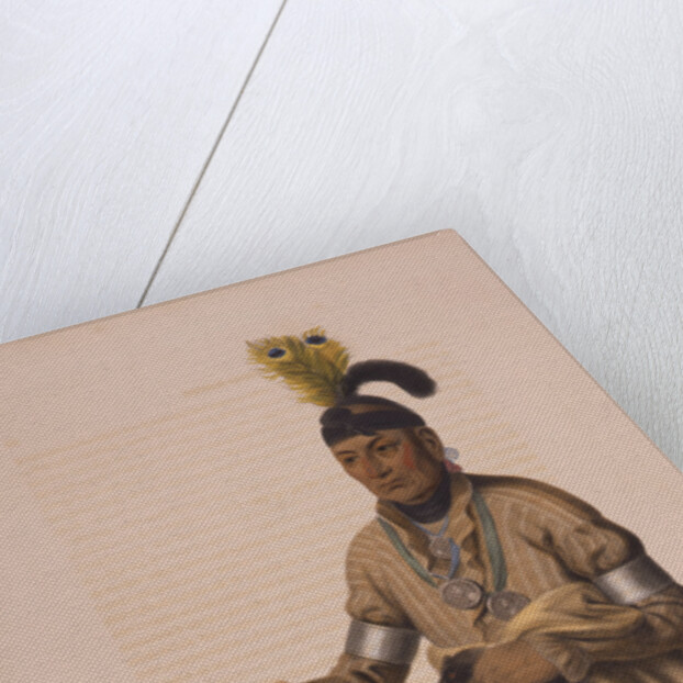 Naw-kaw, a Winnebago chief by Anonymous