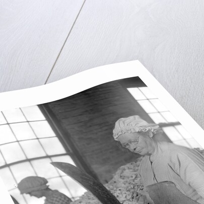 Mt. Holyoke, Massachusetts - Paper. American Writing Paper Co. Rag sorting (Irish), 1936 by Lewis Hine