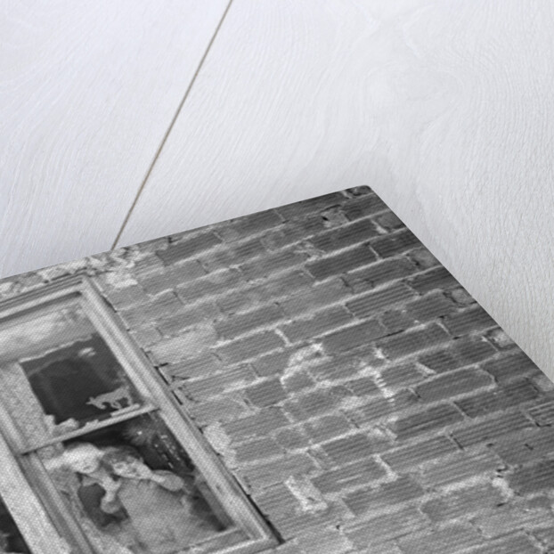 Scott's Run, West Virginia. This building is a part of the abandoned mine buildings of the stranded camp of Jere by Lewis Hine