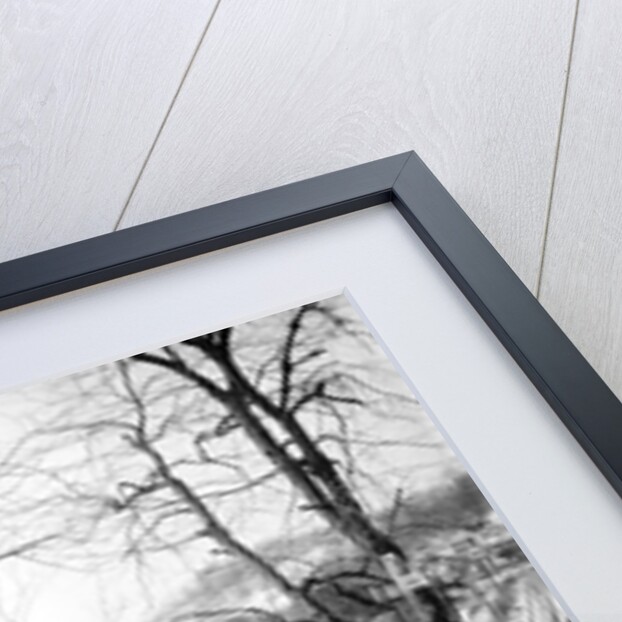 Scott's Run, West Virginia. Jere, mine tipple by Lewis Hine