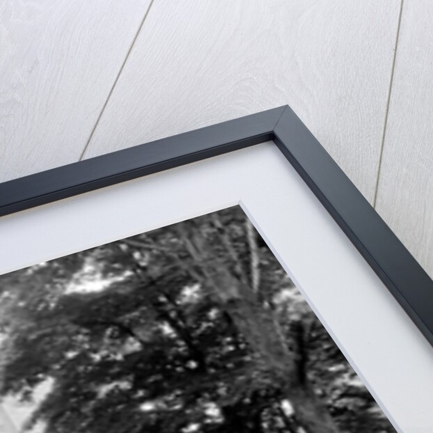 Paterson, New Jersey - Textiles. Unoccupied mill buildings on Straight Street, June 1937 by Lewis Hine