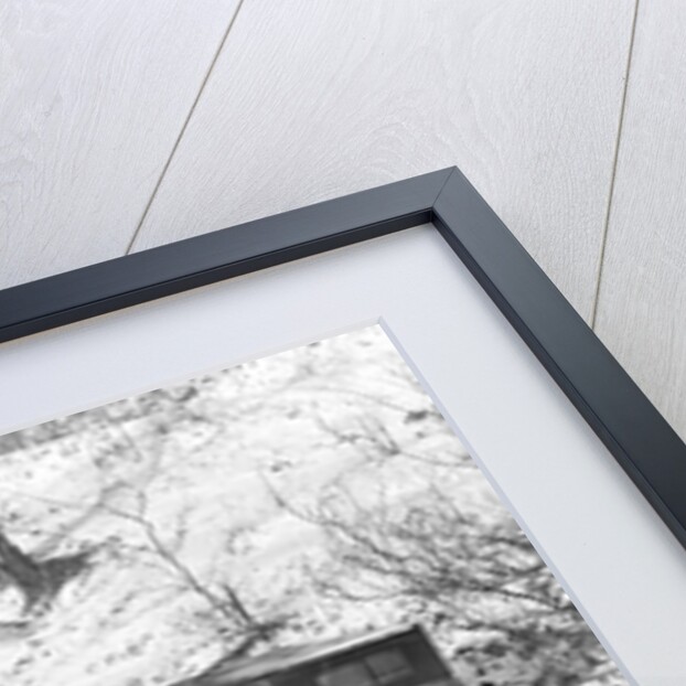 Scott's Run, West Virginia. Outdoor privy - Scene taken from the main highway by Lewis Hine