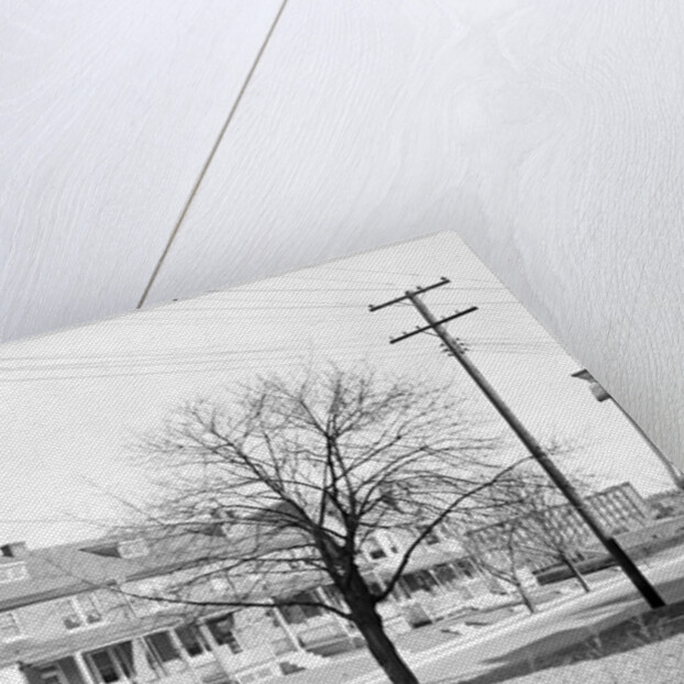 Lancaster, Pennsylvania - Housing. Stehli silk workers' houses by Lewis Hine