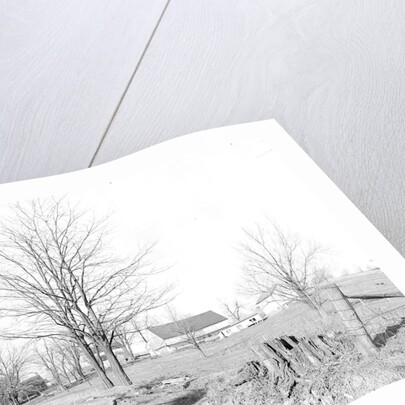 Lancaster, Pennsylvania - Housing. Entrance to moderate sized farm near Rocky Springs, Lampeter Road, 1936 by Lewis Hine