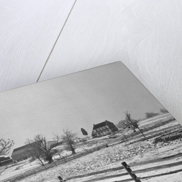 Lancaster, Pennsylvania - Housing. Adjoining farms on side road near Petersburg, 1936 by Lewis Hine