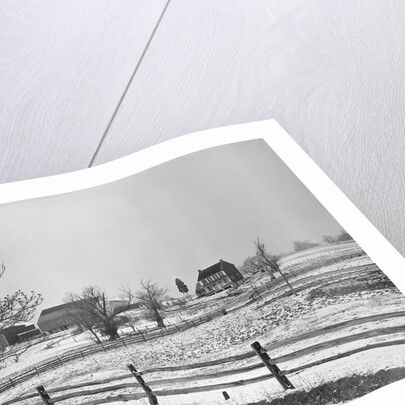 Lancaster, Pennsylvania - Housing. Adjoining farms on side road near Petersburg, 1936 by Lewis Hine