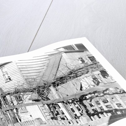 Paterson, New Jersey - Textiles. Rear tenement off Summer St. Former silk workers, March 1937 by Lewis Hine