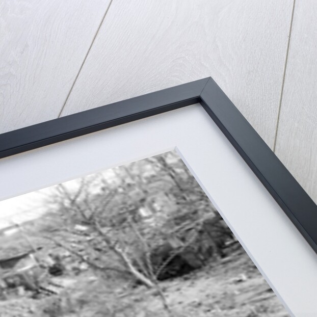 Paterson, New Jersey - Textiles. Bachelor shacks in outskirts of Paterson, on Molly Jan Brook by Lewis Hine