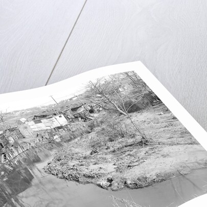Paterson, New Jersey - Textiles. Bachelor shacks in outskirts of Paterson, on Molly Jan Brook by Lewis Hine