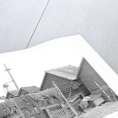 Millville, New Jersey - Scenes. A view of back yards of Whitall Tatum Company houses looking toward Whitall Tatum upper plant, 1936 by Lewis Hine