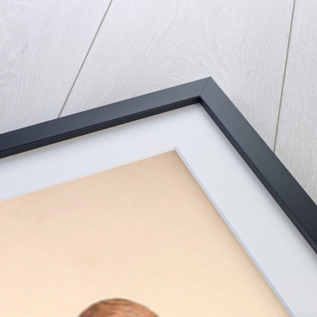 Garrulus Bispecularis, Himalayan Jay by Elizabeth Gould and John Gould