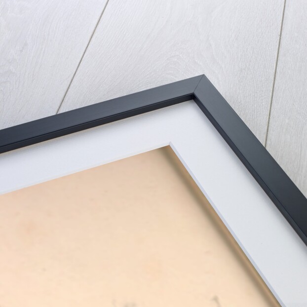 Buceros Cavatus,Concave Hornbill by Elizabeth Gould and John Gould