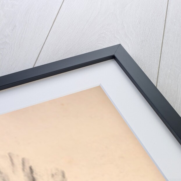 Picus Squamatus, Scaly-bellied Woodpecker by Elizabeth Gould and John Gould